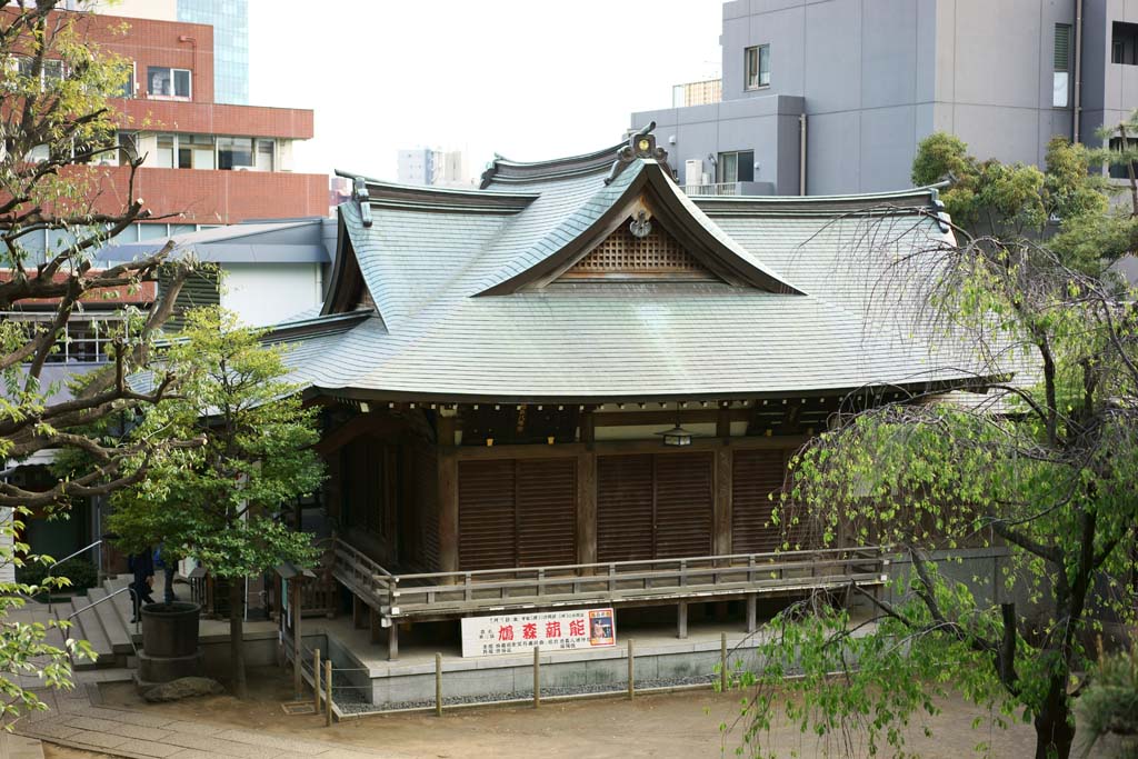 fotografia, materiale, libero il panorama, dipinga, fotografia di scorta,Hatomori Hachiman Santuario, , , , 