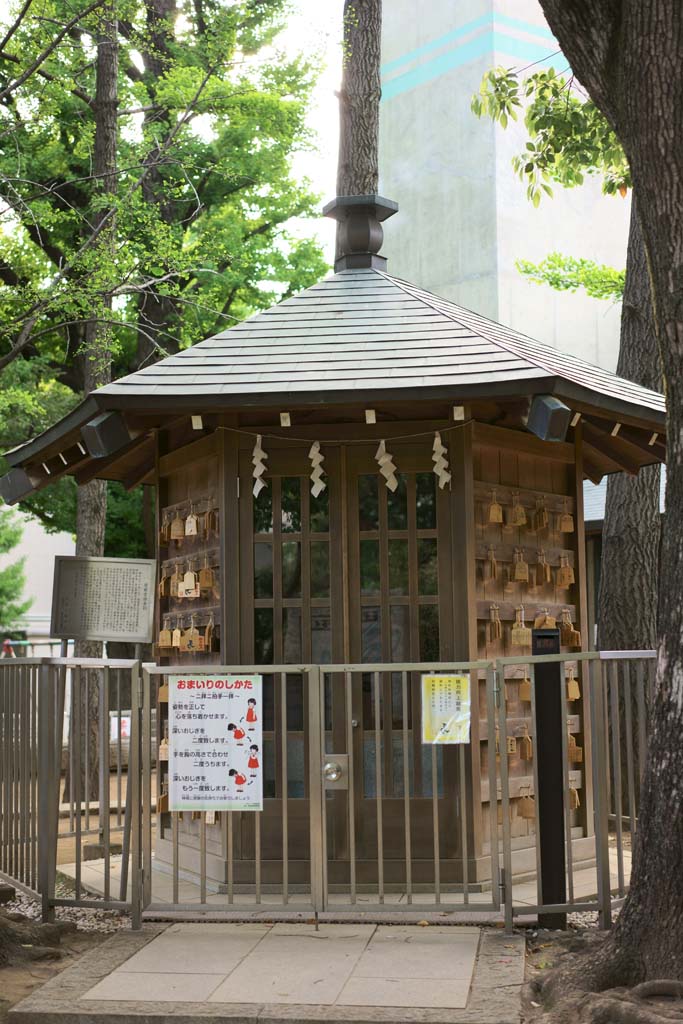 fotografia, materiale, libero il panorama, dipinga, fotografia di scorta,Hatomori Santuario Hachiman shogi hall, , , , 