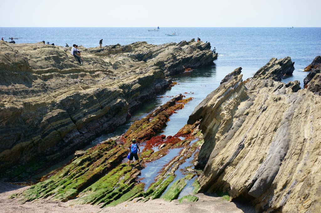 Foto, materieel, vrij, landschap, schilderstuk, bevoorraden foto,Jyogashima, , , , 