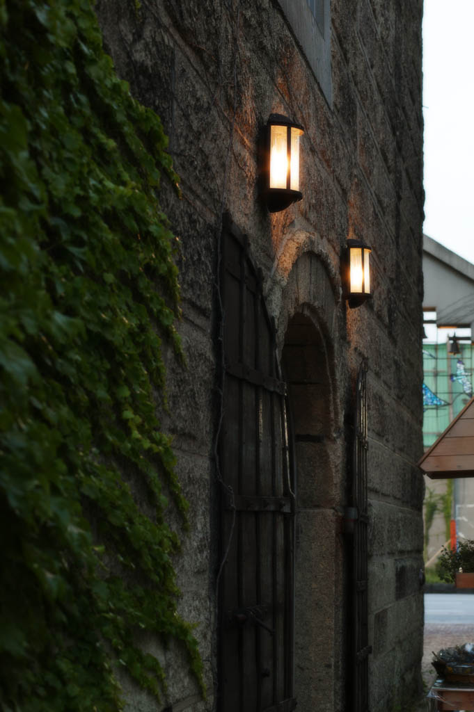 photo,material,free,landscape,picture,stock photo,Creative Commons,A stone warehouse lamp, It is made of stone, door, lamp, Ivy