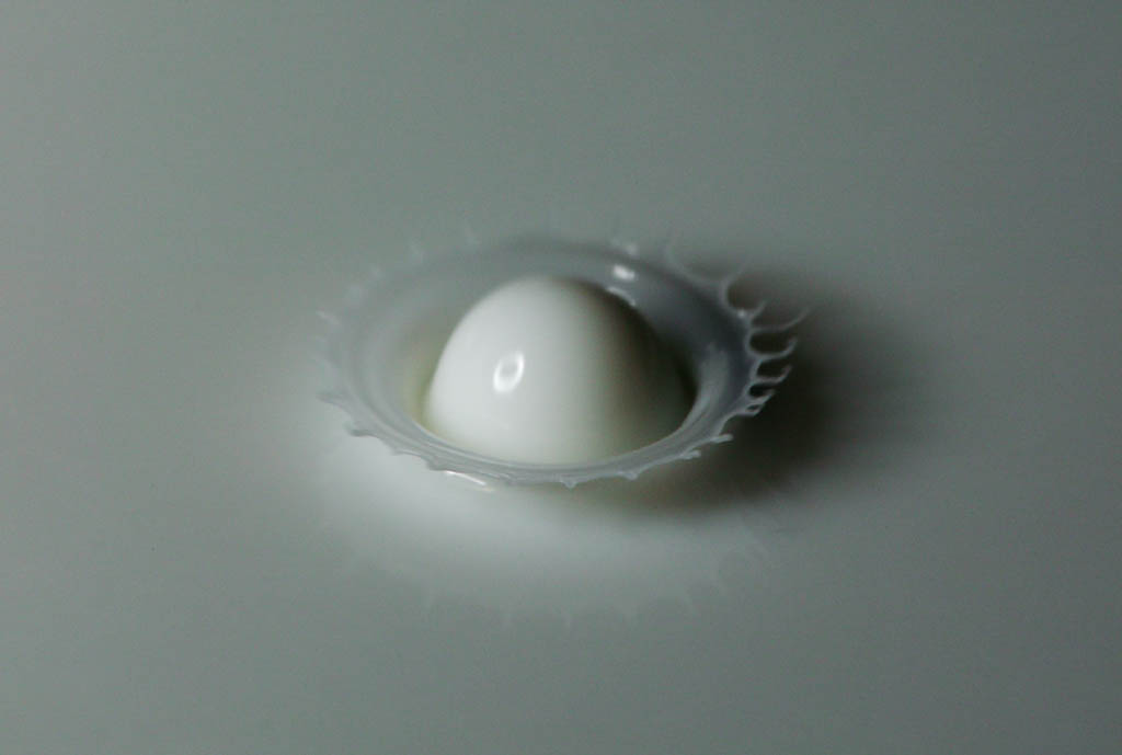 photo, la matire, libre, amnage, dcrivez, photo de la rserve,Oeuf 2 d'une couronne du lait, couronne du lait, goutte, Arosol d'eau, Lait