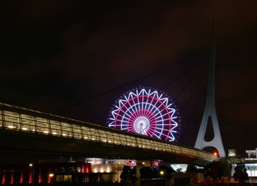 fotografia, materiale, libero il panorama, dipinga, fotografia di scorta,Fuoco artificiale elettrico per porsi un sogno, Odaiba, Ferris la ruota, Luminarie, pedestribridge