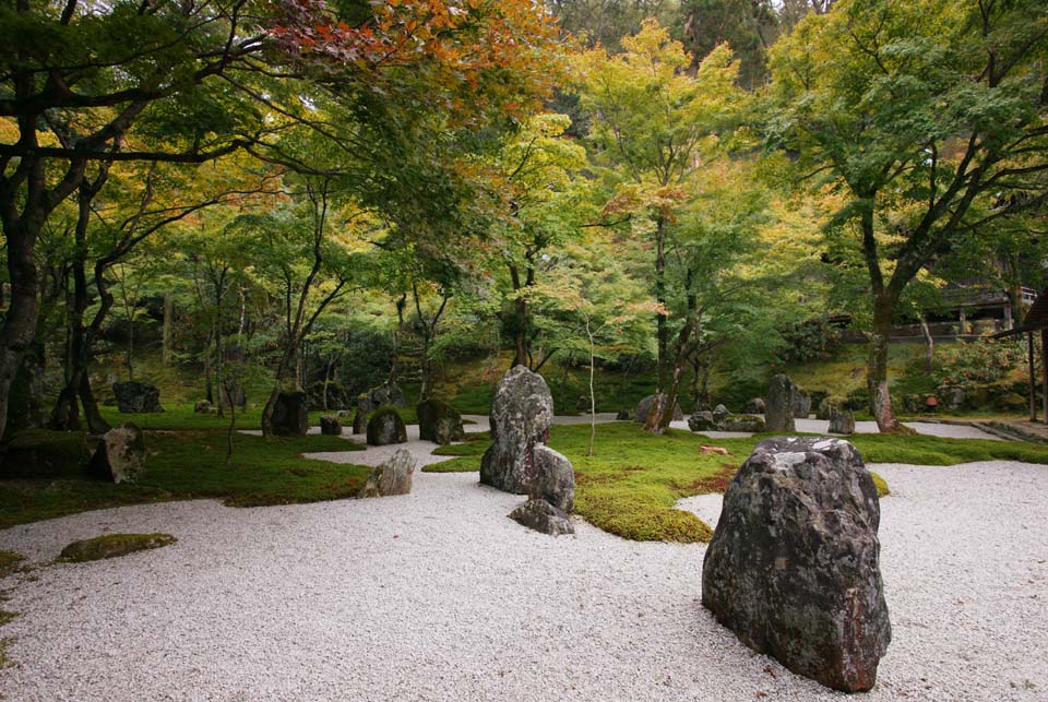 fotografia, material, livra, ajardine, imagine, proveja fotografia,Um jardim de um templo claro que pertence  seita de Zen, jardim, pedra, barra de areia, rvore de jardim