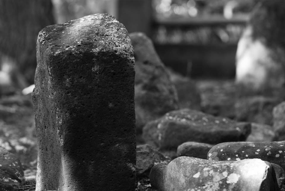 photo,material,free,landscape,picture,stock photo,Creative Commons,Mt. Nishizaki stone circle, Remains, stone, circle of stone, Jomon period