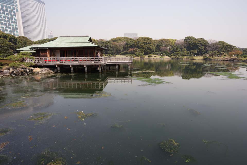 photo, la matire, libre, amnage, dcrivez, photo de la rserve,Une baraque du repos de Nakashima, tang, construire, Je suis Japonais-style, toit