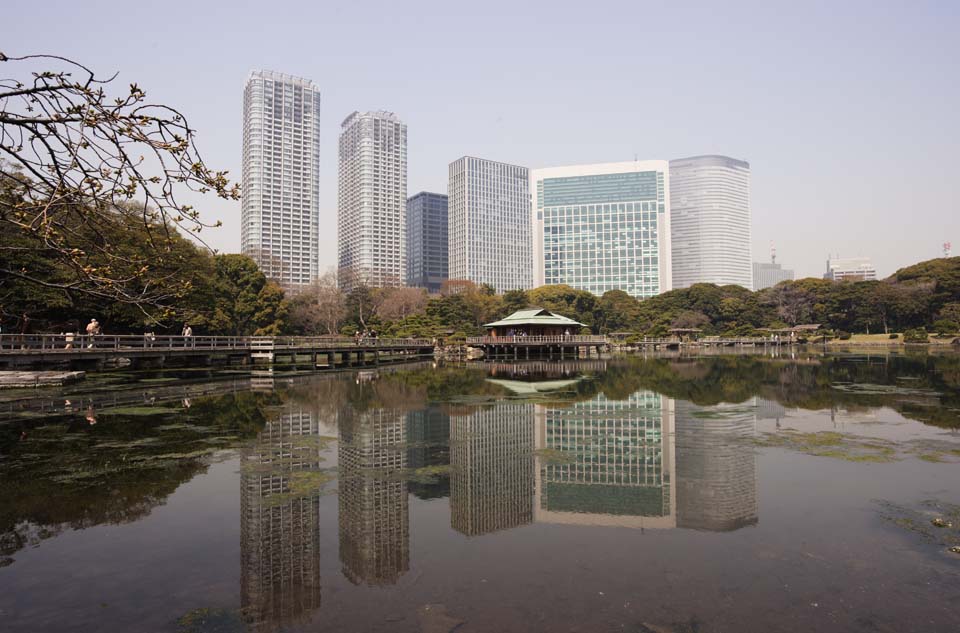 fotografia, material, livra, ajardine, imagine, proveja fotografia,Um grupo de Edifcio de Shiodome e uma lagoa de dano atravs de gua de mar, lagoa, construindo, Eu sou Japons-estilo, 