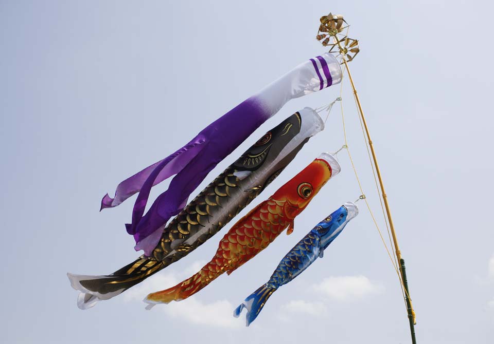 photo,material,free,landscape,picture,stock photo,Creative Commons,Swimming of a carp streamer, dark flag, Koinobori, carp streamer, 