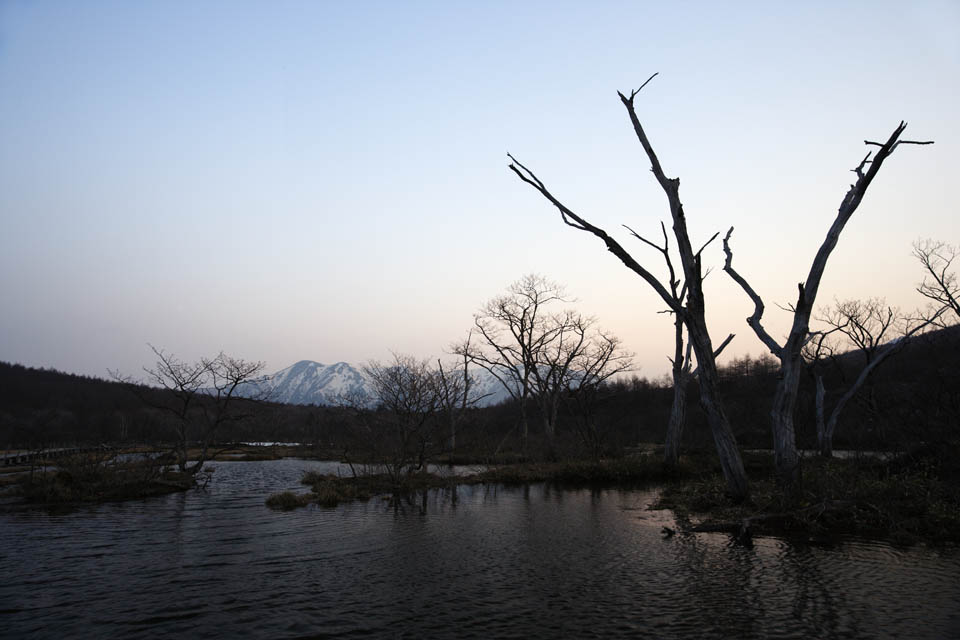 photo,material,free,landscape,picture,stock photo,Creative Commons,A damp plain of an early morning, marsh, The surface of the water, mountain, tree