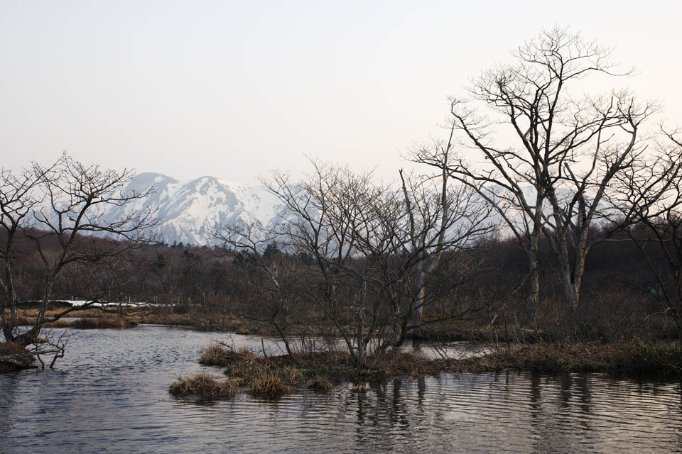 photo,material,free,landscape,picture,stock photo,Creative Commons,A damp plain of an early morning, marsh, The surface of the water, mountain, tree