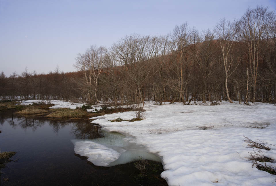 Foto, materiell, befreit, Landschaft, Bild, hat Foto auf Lager,Eine klamme Ebene eines Tauwetters, Sumpf, Die Oberflche des Wassers, Berg, Baum