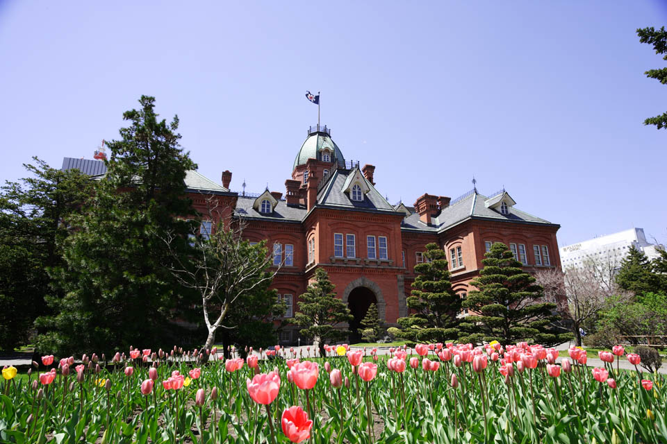 foto,tela,gratis,paisaje,fotografa,idea,Organismo de Hokkaido, La Hokkaido del gobierno oficina, Edificio europeo -style, Edificio, Ladrillo