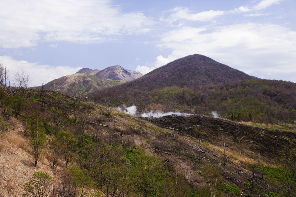 photo, la matire, libre, amnage, dcrivez, photo de la rserve,Le voisinage de Mt. Cratre Usu-zan, ruption, Fume, arbre baiss, Magma