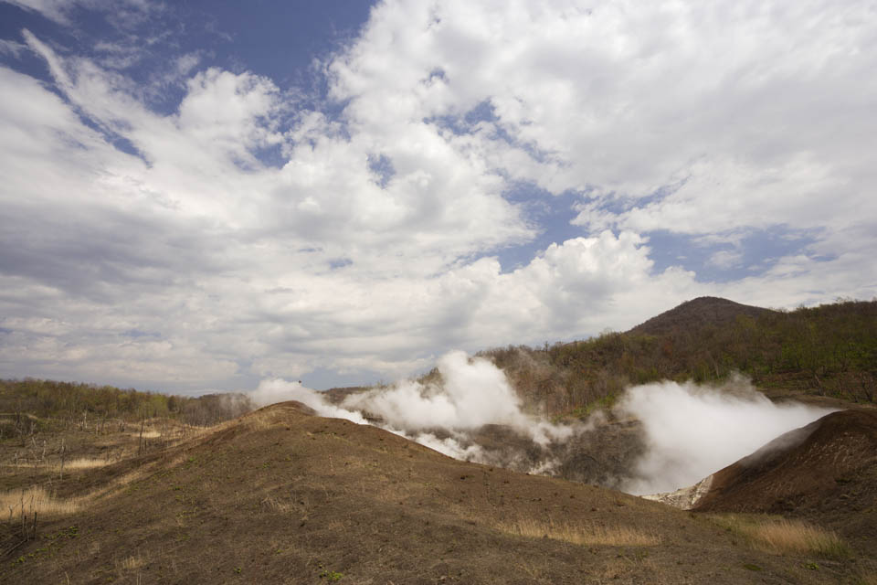 photo, la matire, libre, amnage, dcrivez, photo de la rserve,Le voisinage de Mt. Cratre Usu-zan, ruption, Fume, arbre baiss, Magma