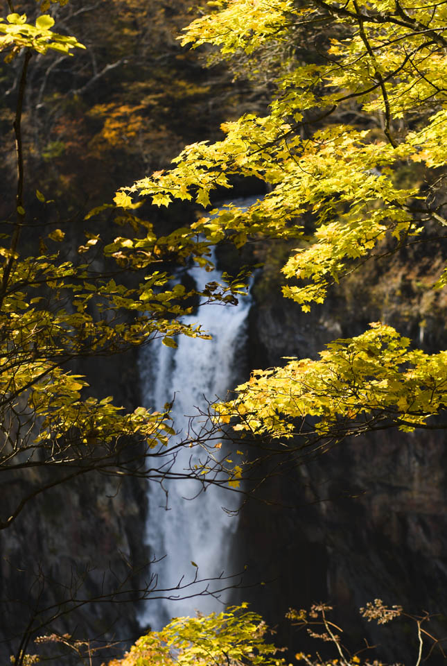 photo, la matire, libre, amnage, dcrivez, photo de la rserve,Feuilles colores de la lumire du soleil chutes Kegon, chute d'eau, rable, ciel bleu, Bave balancent