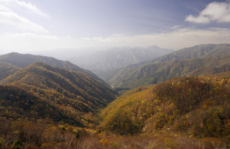 foto,tela,gratis,paisaje,fotografa,idea,Es una montaa de una cola de pie de Oku - Pass de luna de mitad de Nikko, Cola de pie, Arce, Cielo azul, Montaa