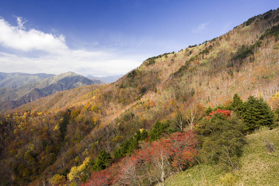 fotografia, materiale, libero il panorama, dipinga, fotografia di scorta,Da Oku-Nikko mezzo Passaggio di luna, , Acero, cielo blu, montagna