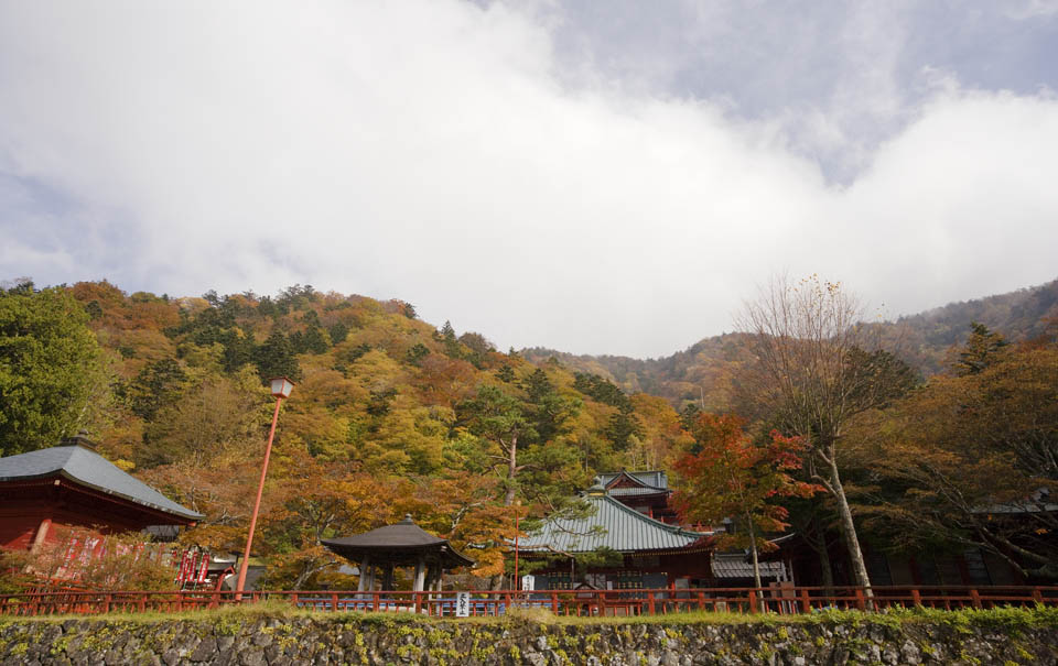 photo,material,free,landscape,picture,stock photo,Creative Commons,A middle temple belonging to the Zen sect, Maple, Buddhist temple and Shinto shrine, roof, middle temple belonging to the Zen sect