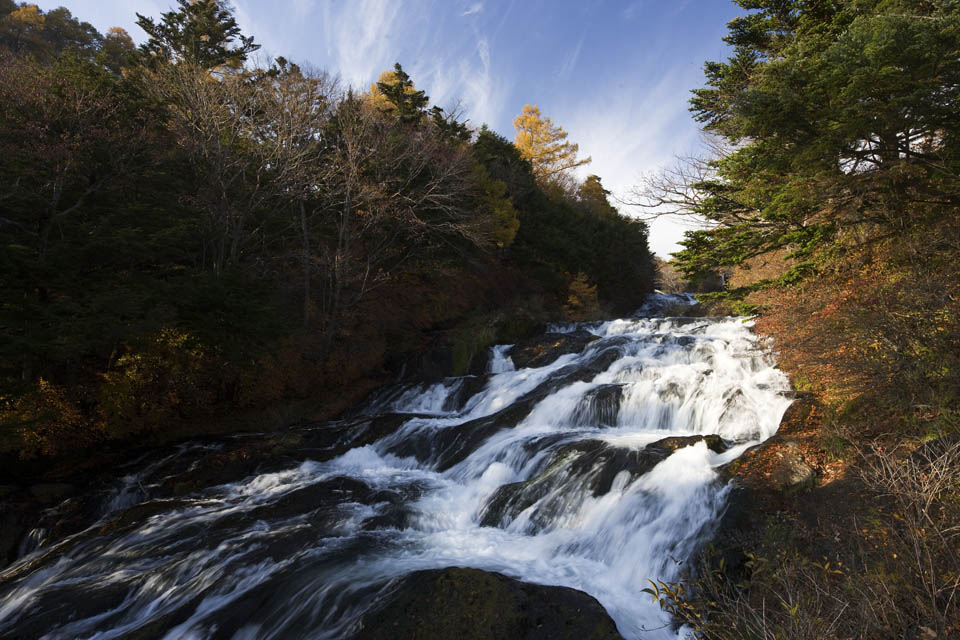 photo,material,free,landscape,picture,stock photo,Creative Commons,An autumn fast flowing stream, waterfall, flow, Water, river