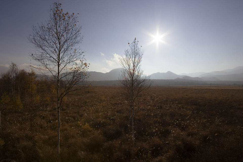 Foto, materiell, befreit, Landschaft, Bild, hat Foto auf Lager,Senjogahara in sptem Sturz, grasbedeckte Ebene, , Weie Birke, blauer Himmel