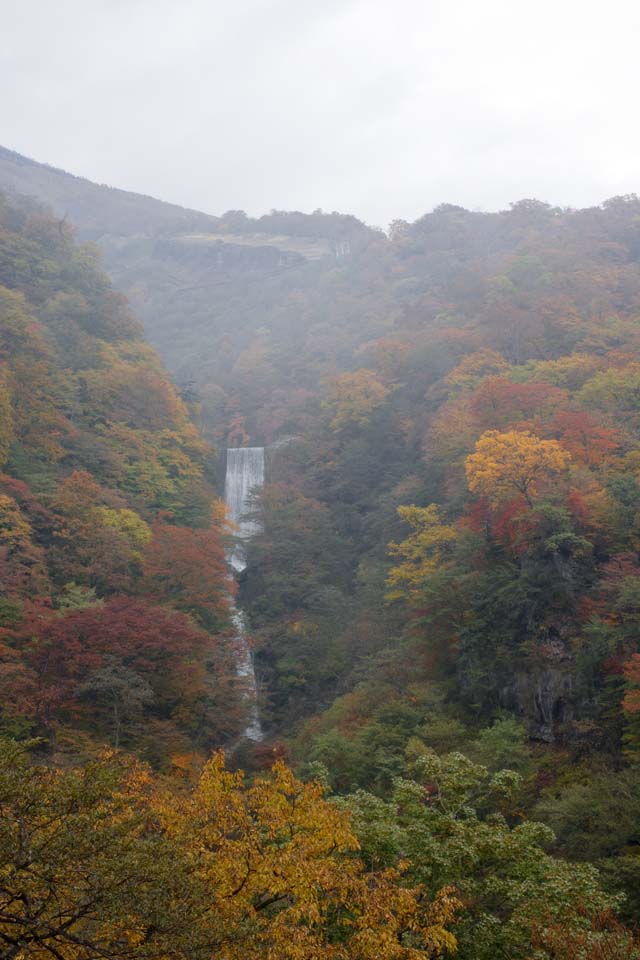 Foto, materieel, vrij, landschap, schilderstuk, bevoorraden foto,Kleurig loof waterfall, Waterval, Rivier, Mist, Haze