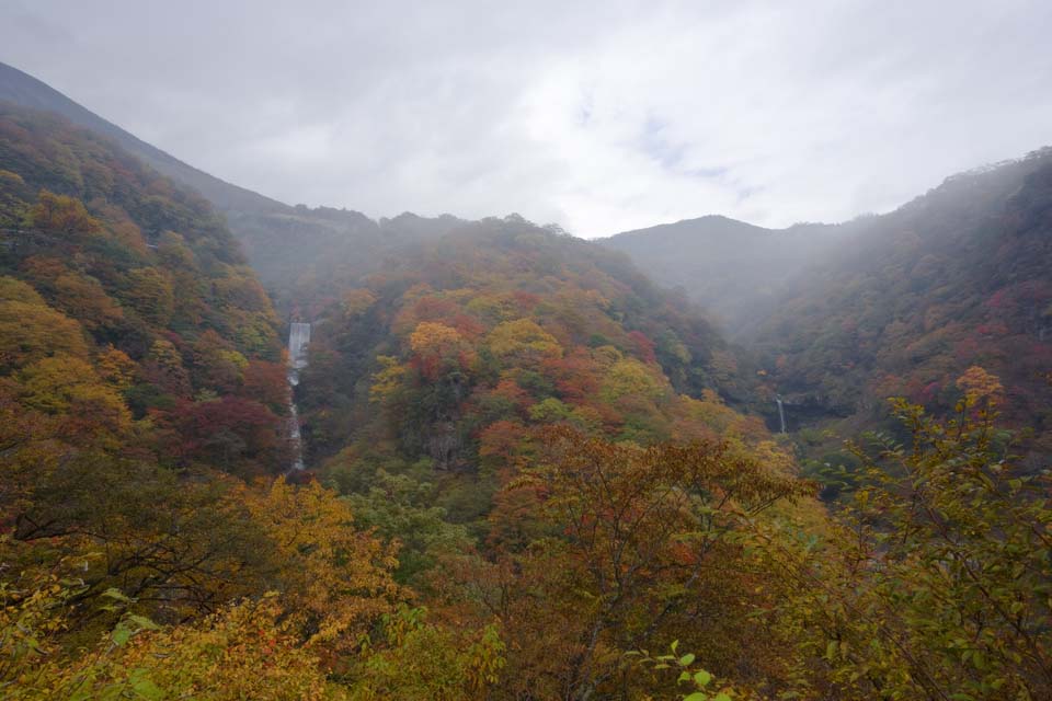 photo,material,free,landscape,picture,stock photo,Creative Commons,Colored leaves waterfall and a wisdom waterfall, waterfall, river, Fog, Haze