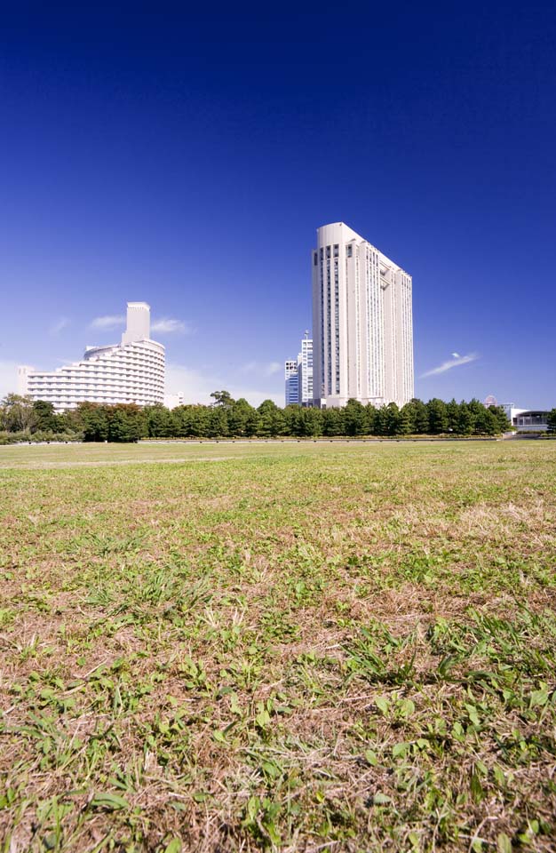 Foto, materiell, befreit, Landschaft, Bild, hat Foto auf Lager,Ein Rasen offener Raum des Meeresbrisenparks, Kstenlinie, Hotel, Rasen, blauer Himmel