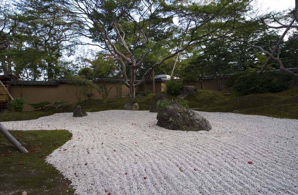 photo,material,free,landscape,picture,stock photo,Creative Commons,The House of encyclopedic knowledge of Matsushima, rock garden, rock, Maple, stone