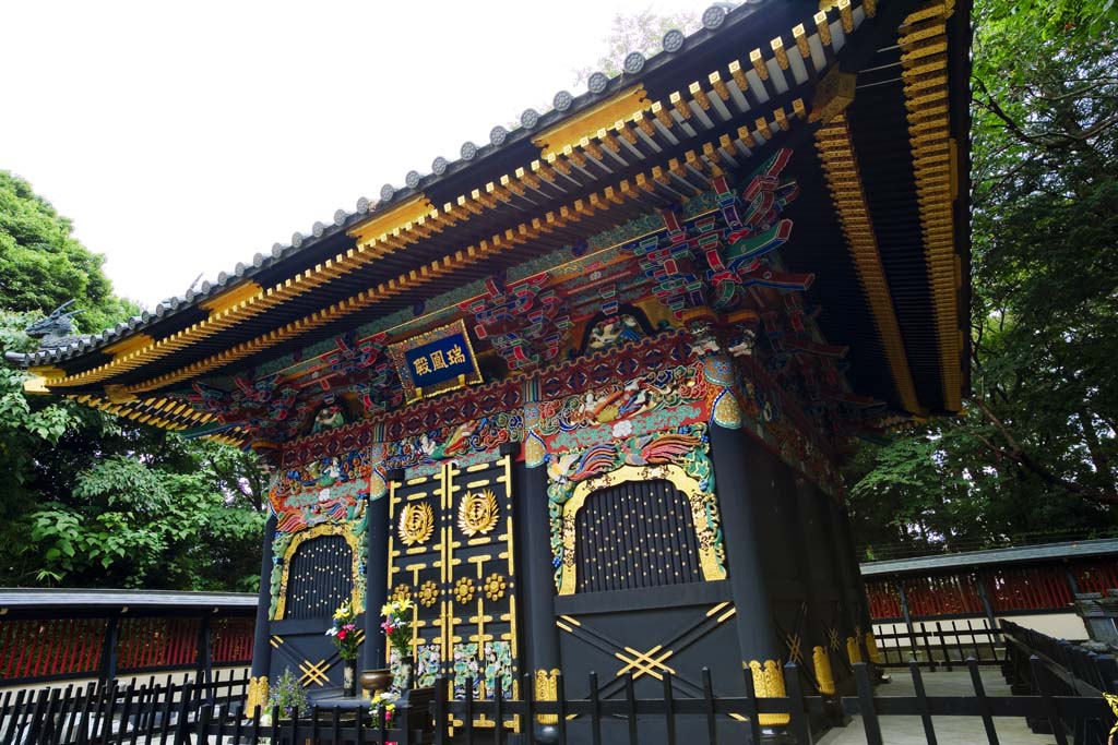 foto,tela,gratis,paisaje,fotografa,idea,Zuiho - Hall de madriguera, El saln principal de templo Buddhist, Decoracin, Azulejo, Bermelln