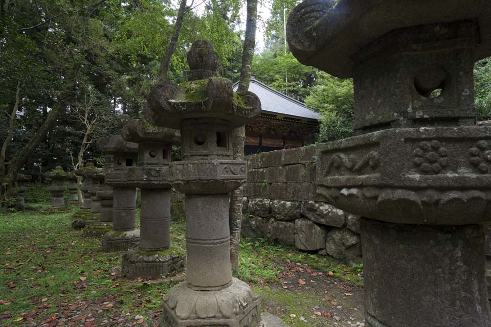 photo,material,free,landscape,picture,stock photo,Creative Commons,Zuiho-den Hall, stone lantern basket, Moss, , 