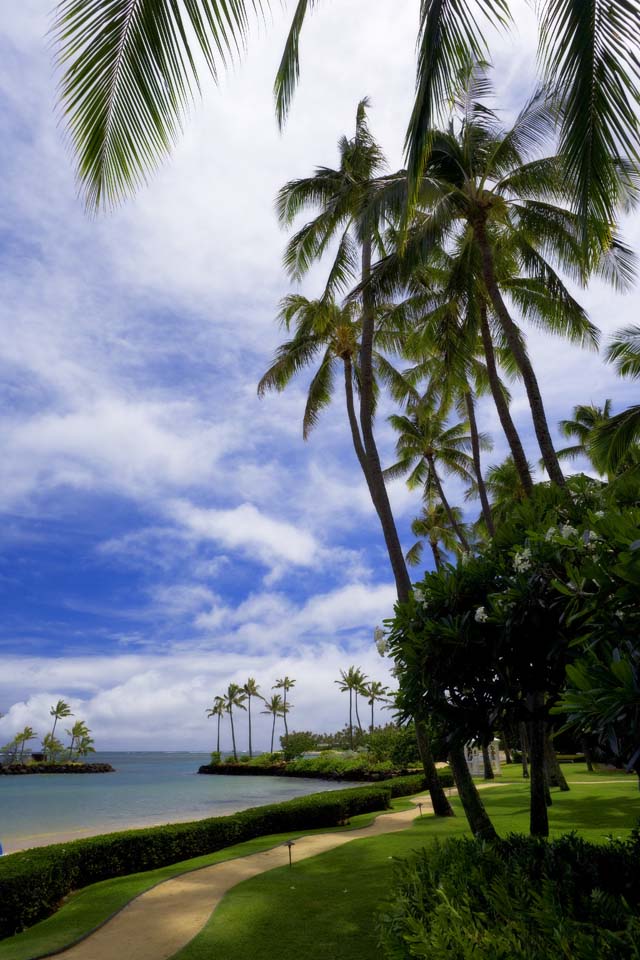 Foto, materieel, vrij, landschap, schilderstuk, bevoorraden foto,EEN Hawaiian vakantieoord, Strand, Zandstrand, Blauwe lucht, Lasi