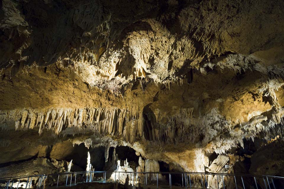 fotografia, material, livra, ajardine, imagine, proveja fotografia,Ishigaki-jima Ilha estalactite caverna, caverna de estalactite, Estalactite, Pedra calcria, caverna