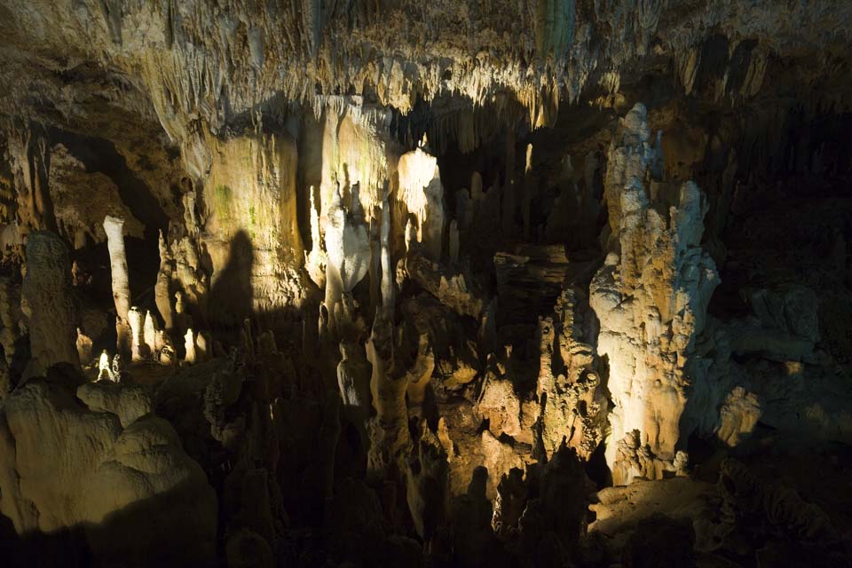 fotografia, material, livra, ajardine, imagine, proveja fotografia,Ishigaki-jima Ilha estalactite caverna, caverna de estalactite, Estalactite, Pedra calcria, caverna