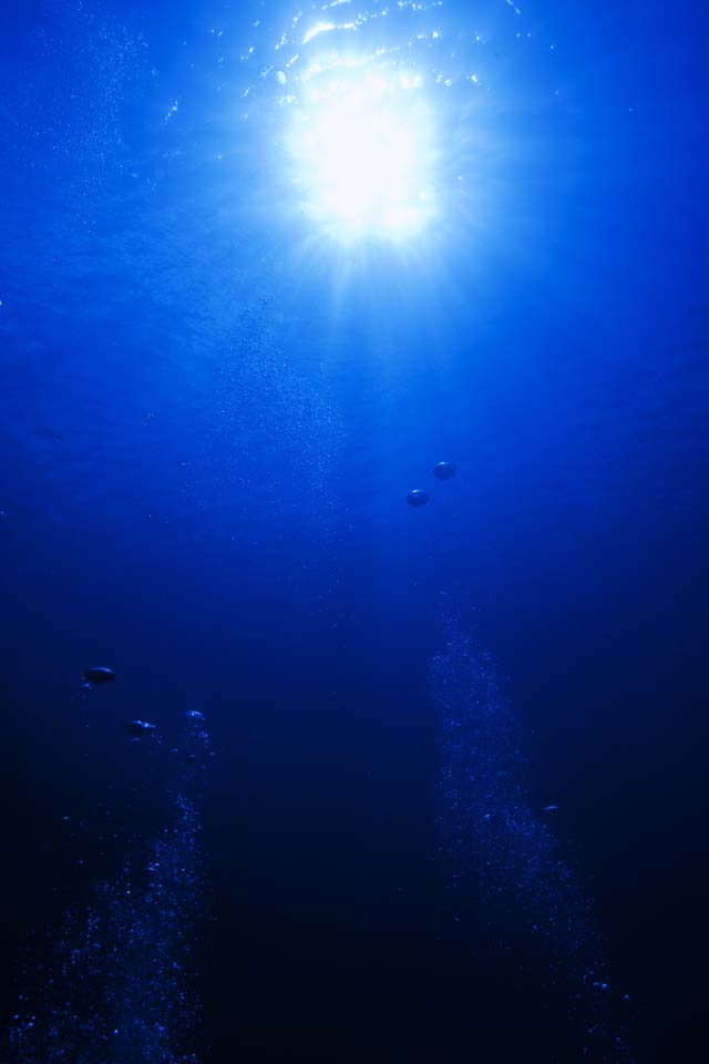 Foto, materiell, befreit, Landschaft, Bild, hat Foto auf Lager,Gedanke zur schwankenden Sonne, Die Sonne, Schein, Blase, Unterwasserfoto