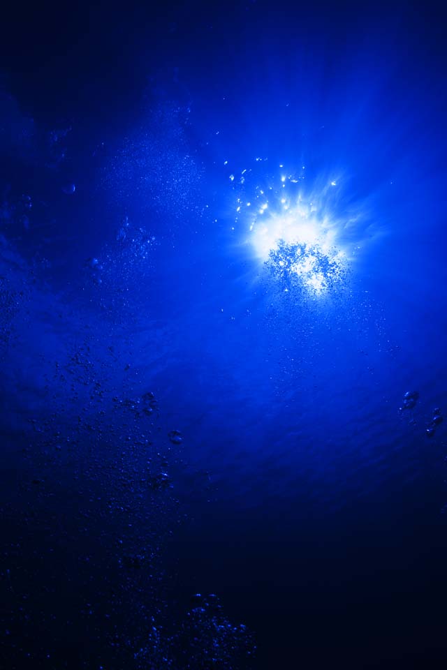, , , , ,  .,Sun, , , , underwater 