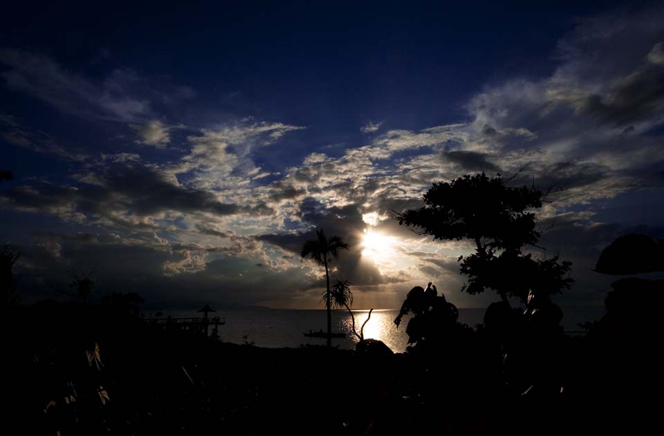 Foto, materieel, vrij, landschap, schilderstuk, bevoorraden foto,Een zuid land silhouette, Palm boom, De instelling zon, Wolk, De zee