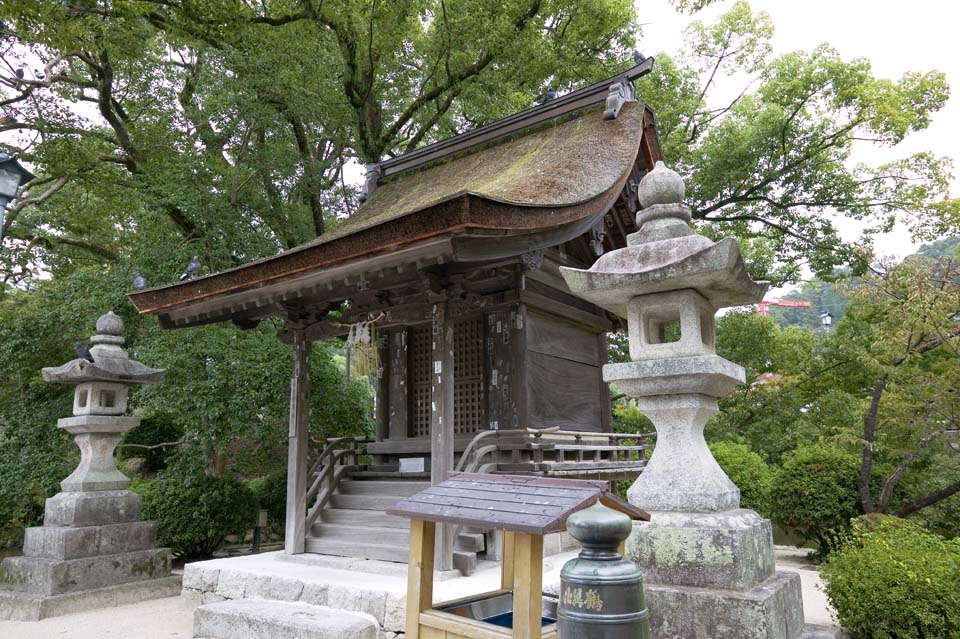 , , , , ,  ., shrine.,  shrine, ,   , - 