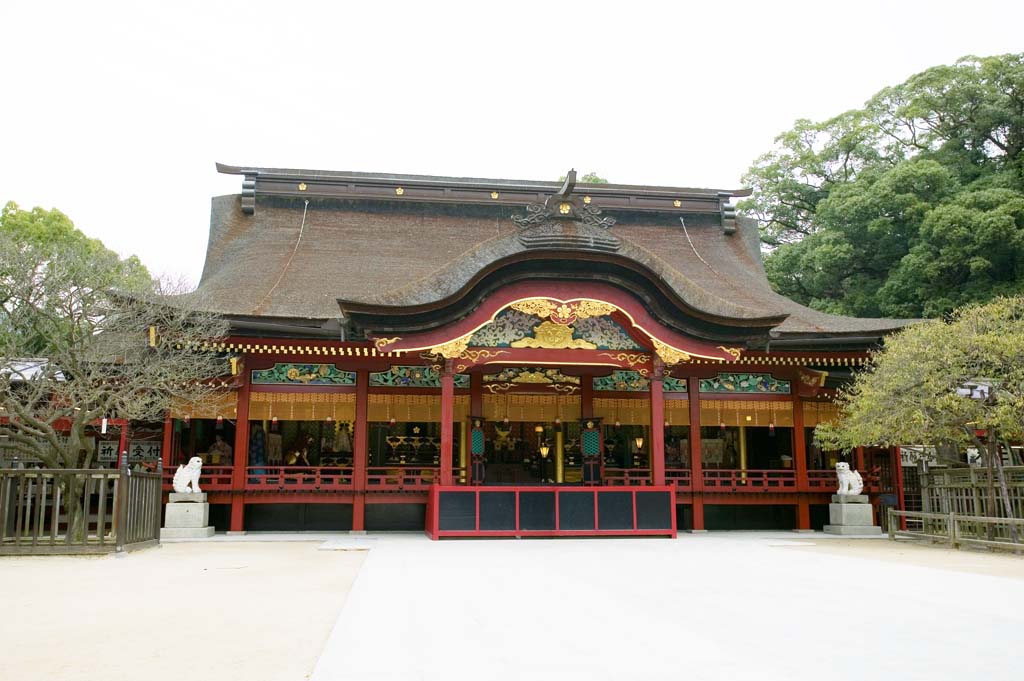 fotografia, materiale, libero il panorama, dipinga, fotografia di scorta,Temma, sacrario di Dazaifu, Michizane Sugawara, sacrario principale, Sacrario scintoista, Decorazione