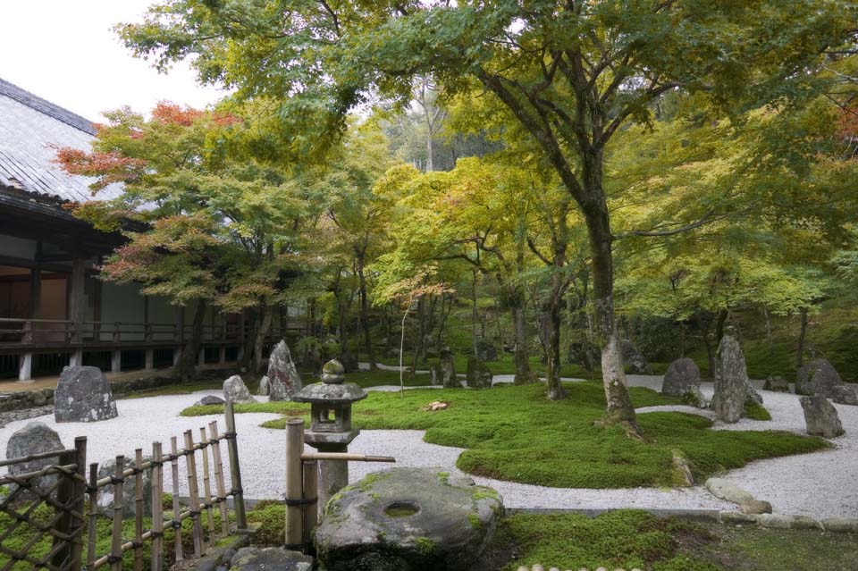 fotografia, materiale, libero il panorama, dipinga, fotografia di scorta,Un giardino di un tempio leggero che appartiene alla setta Zen, Muschio, prenda a sassate cesto di lanterna, pietra, Foglie colorate