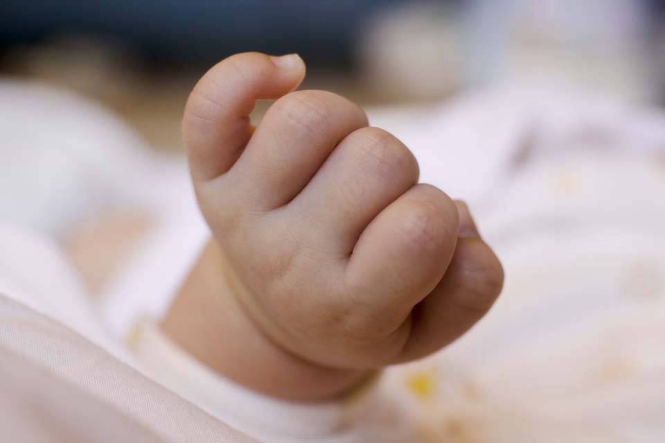 fotografia, materiale, libero il panorama, dipinga, fotografia di scorta,Mano di un bambino, Immondizia Chan, Pelle, bambino, Cura di bambino