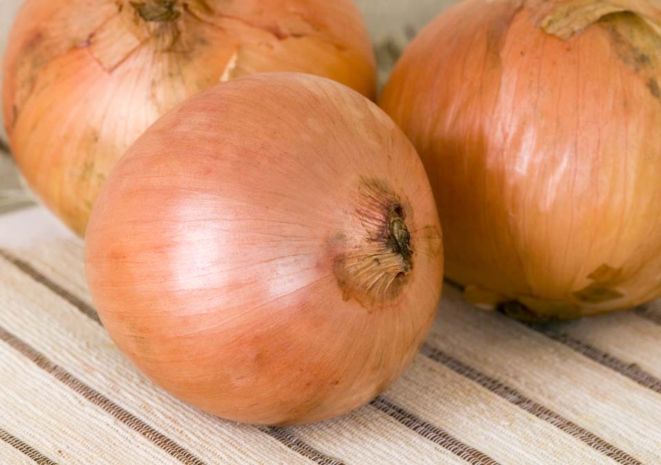 photo,material,free,landscape,picture,stock photo,Creative Commons,An onion, onion, , , ball leek