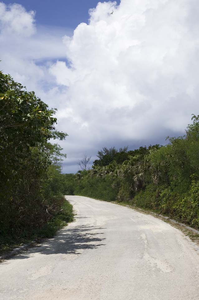 fotografia, materiale, libero il panorama, dipinga, fotografia di scorta,Un modo di un paese meridionale, Asfalto, Luce del sole, Io sono verde, nube