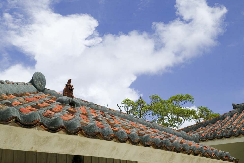 Foto, materieel, vrij, landschap, schilderstuk, bevoorraden foto,Zee Heer om te blaffen, Sesir, Veel geluk charmeren, Okinawa, Dak