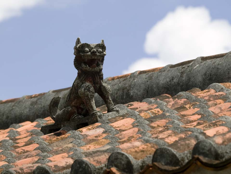 photo,material,free,landscape,picture,stock photo,Creative Commons,Sea Sir to bark, SeSir, good luck charm, Okinawa, roof