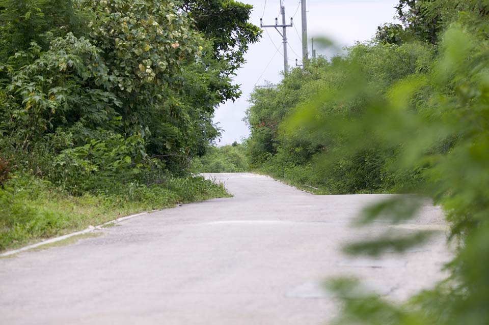 photo, la matire, libre, amnage, dcrivez, photo de la rserve,Un chemin d'un pays du sud, Asphalte, tlphonez  la perche, Je suis vert, nuage