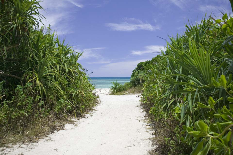 photo, la matire, libre, amnage, dcrivez, photo de la rserve,Un chemin  une plage, barre du sable, plage, ciel bleu, 