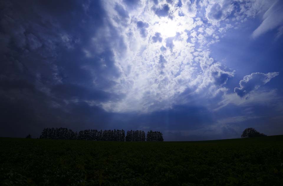 photo,material,free,landscape,picture,stock photo,Creative Commons,Light to pour, cloud, light line, voice of the sky, row of trees