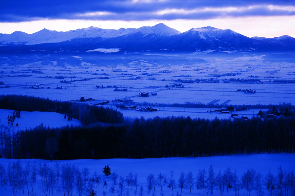 Foto, materiell, befreit, Landschaft, Bild, hat Foto auf Lager,Der Tagesanbruch von Furano, schneebedecktes Feld, Berg, Baum, Feld