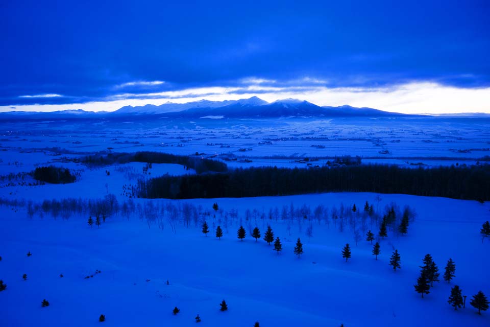 Foto, materieel, vrij, landschap, schilderstuk, bevoorraden foto,De dageraad van Furano, Besneeuwd veld, Berg, Boom, Veld