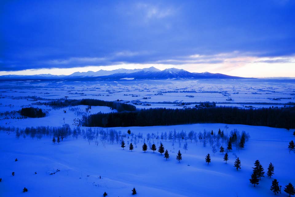 fotografia, materiale, libero il panorama, dipinga, fotografia di scorta,Il lo spuntar del giorno di Furano, campo nevoso, montagna, albero, campo