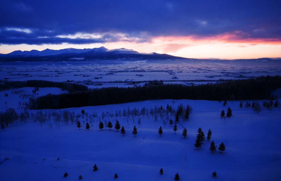 foto,tela,gratis,paisaje,fotografa,idea,El brillo matutino de diez cordillera de victorias, Campo cubierto de nieve, Montaa, rbol, Campo